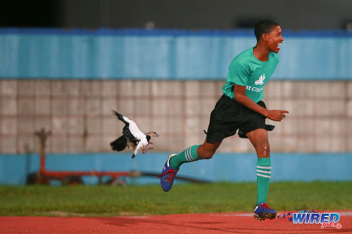 Photo: Trick or treat! A ball boy runs for cover during the 2015 First Citizens Cup final at the Ato Boldon Stadium in Couva. (Courtesy Allan V Crane/Wired868)