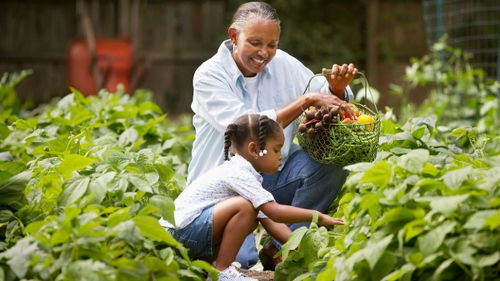 Photo: A family tends to the vegetables. (Courtesy Blackcelebritygiving)