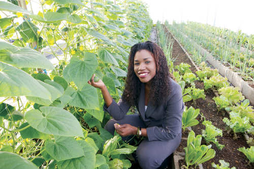 Photo: The Trinidad and Tobago agricultural industry is in urgent need of revitalisation. (Courtesy Sec.Gov)