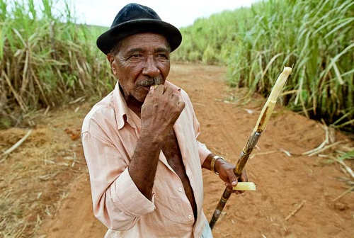 Photo: A sugar cane worker enjoys a snack on the job. (Courtesy Riomate)