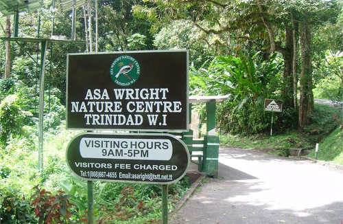 Photo: The Asa Wright Nature Centre. (Courtesy Playboxtt)