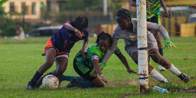 SSFL 25: Herbert, Hackeemar shine, as Five Rivers turn away stubborn San Juan North