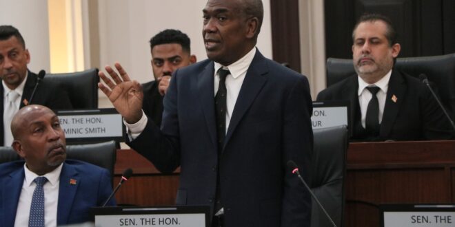 Noble: Is Gov’t handling of SoE trivialising T&T’s crime reality?
